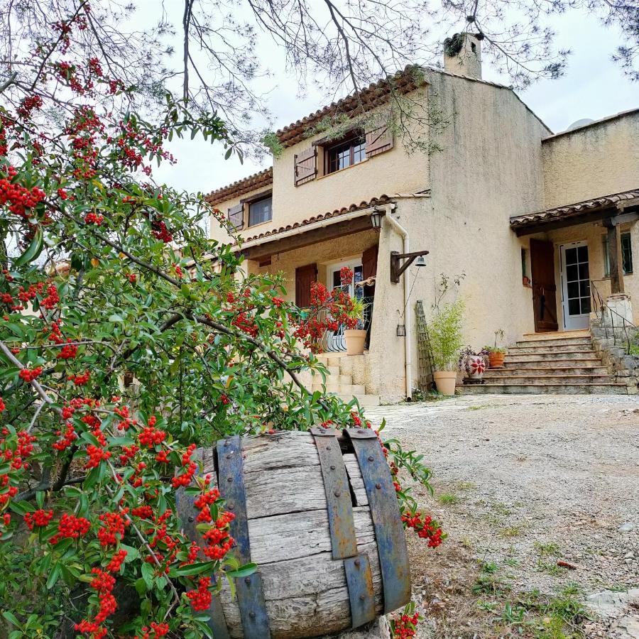 Villa Les Chariotins Драгіньян Екстер'єр фото